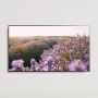 Телевизор LG 32LQ63506LA.ARUB