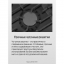 Варочная поверхность Hansa BHGI610391