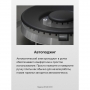 Варочная поверхность Hansa BHGI610391