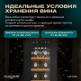 Винный шкаф Meyvel MV12-CBF1