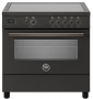 Плита Bertazzoni PRO95I1ECAT