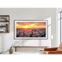 Телевизор Samsung Electronics QE43LS03BAUXCE