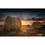 Телевизор Samsung Electronics QE50Q60CAUXUZ