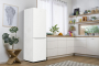 Холодильник Gorenje RK6191EW4