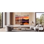 Телевизор Samsung Electronics QE55S95DAUXCE